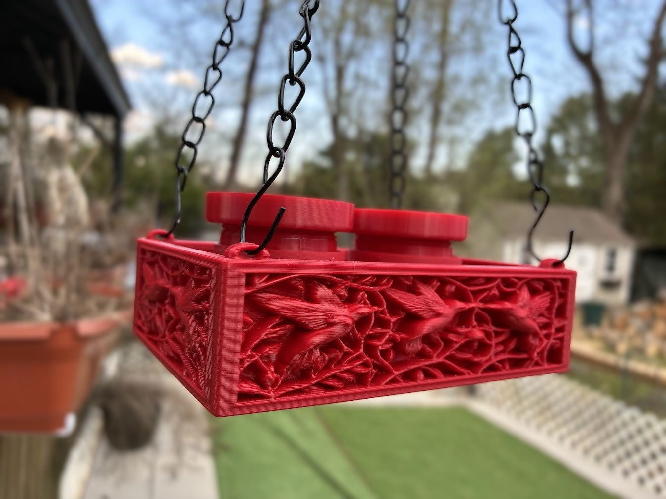 Hanging Hummingbird Feeder with Ant Moat – Hand Feeding Friendly