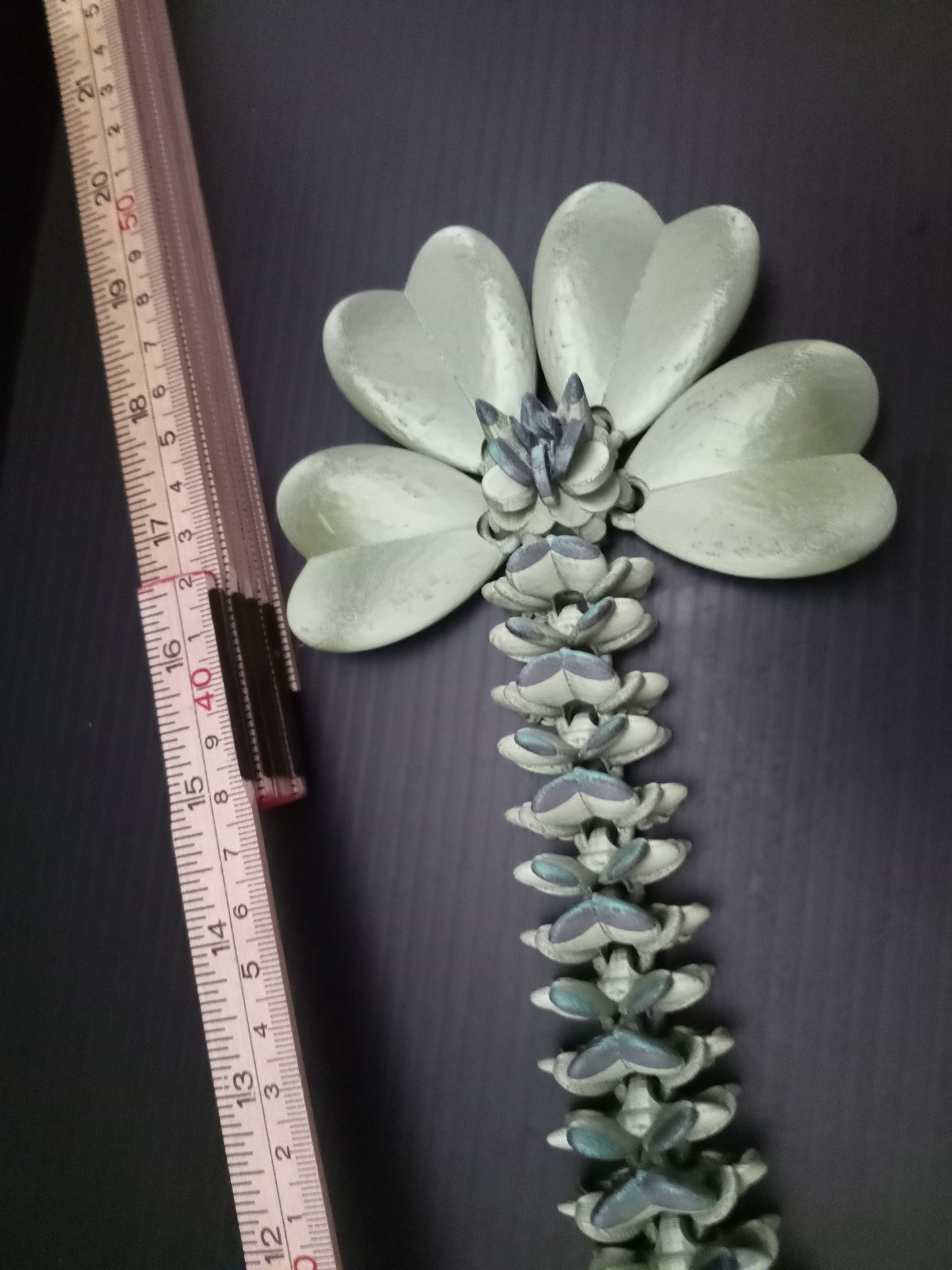 Cinderwing3D Articulated Clover Dragon – 3D Printed Flexible Lucky Dragon Fidget & Display Figure